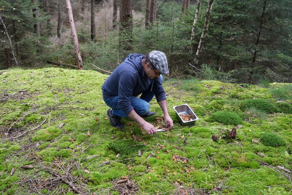 Markus Plein foraging in the forest