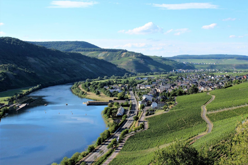 Panorama van Wintrich aan de Moezel met wijngaarden en bossen